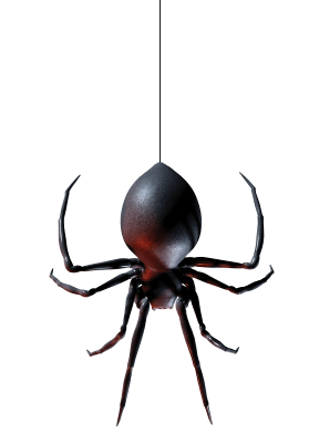 spider logo